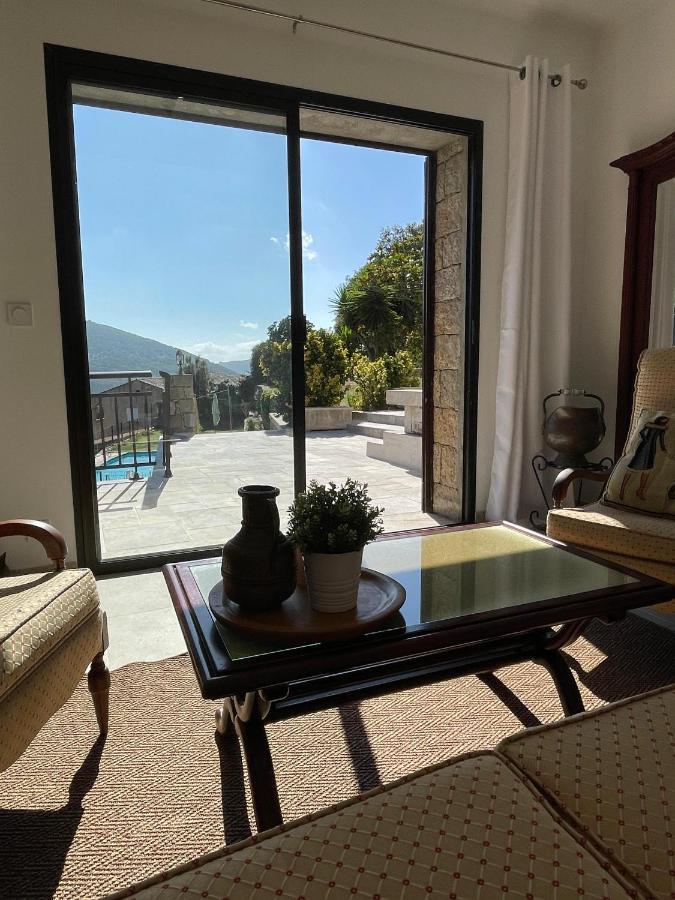 Campana -