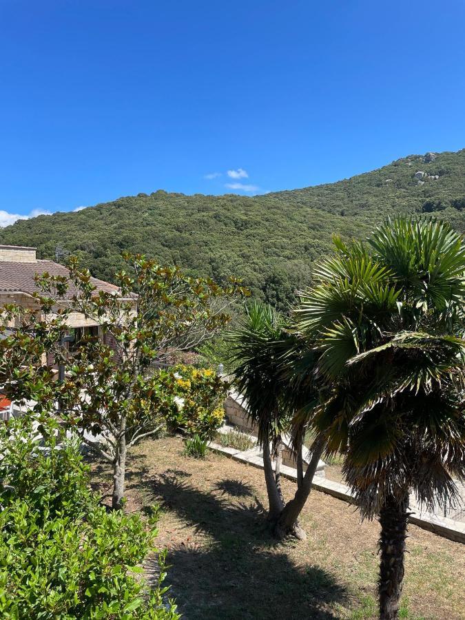 Villa Campana - *